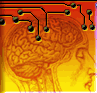 business intelligence.gif (4920 bytes)