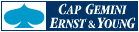 cap gemini